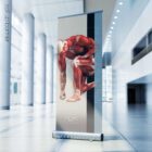 Injuries and Ailments (chronic and acute) – educare.design Lesioni e disturbi. Opere d'arte di anatomia e fisiologia da educare.design