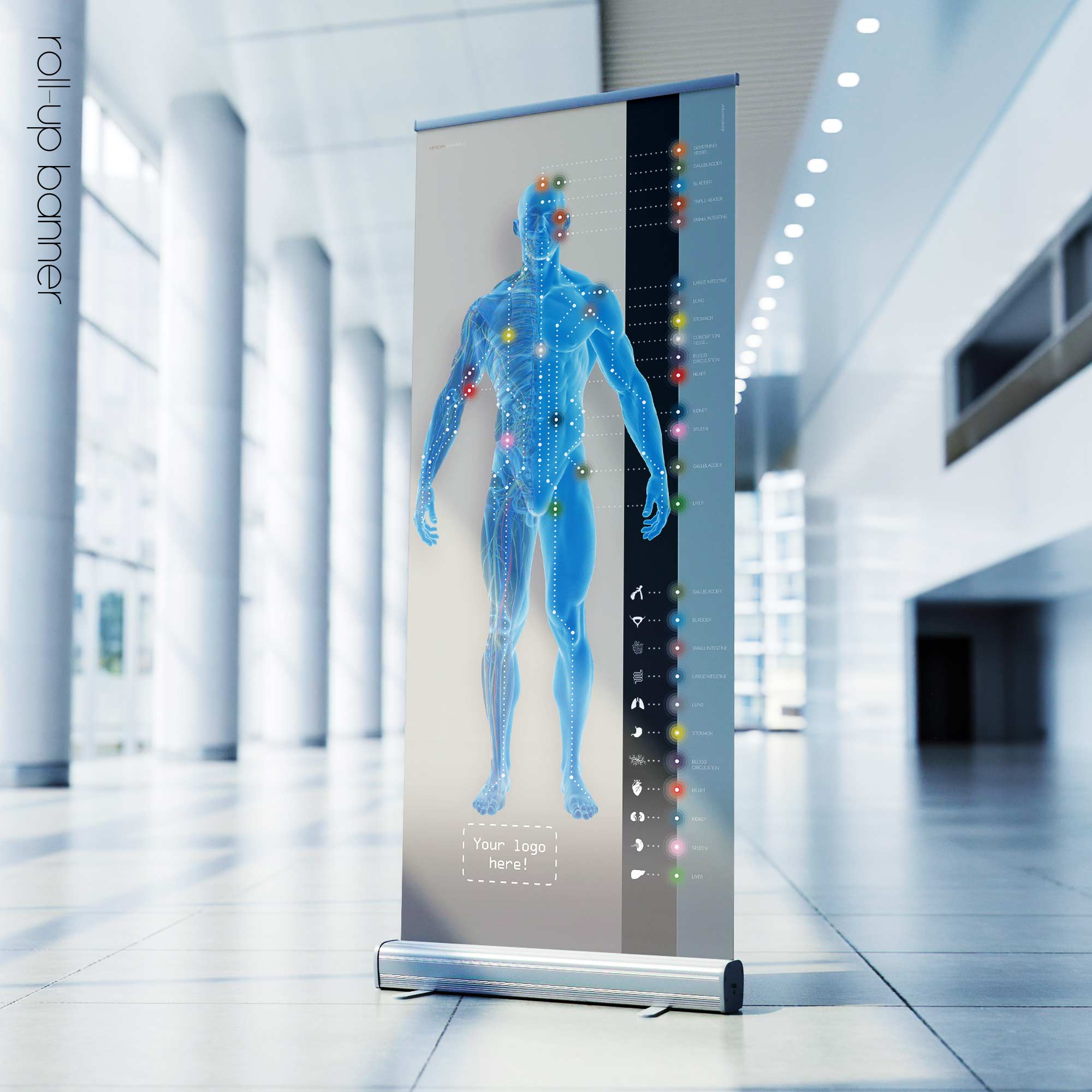 Canali meridiani. Opere d'arte di anatomia e fisiologia da educare.design