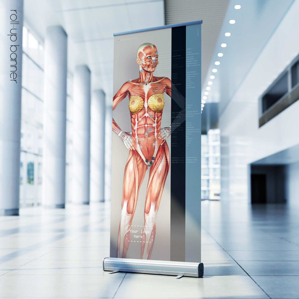 Nutritional Energy Reflex Points. Anatomy and physiology artwork from educare.design