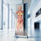 Nutritional Energy Reflex Points (NERP) – educare.design Points réflexes de l'énergie nutritionnelle. Dessin d'anatomie et de physiologie d'educare.design