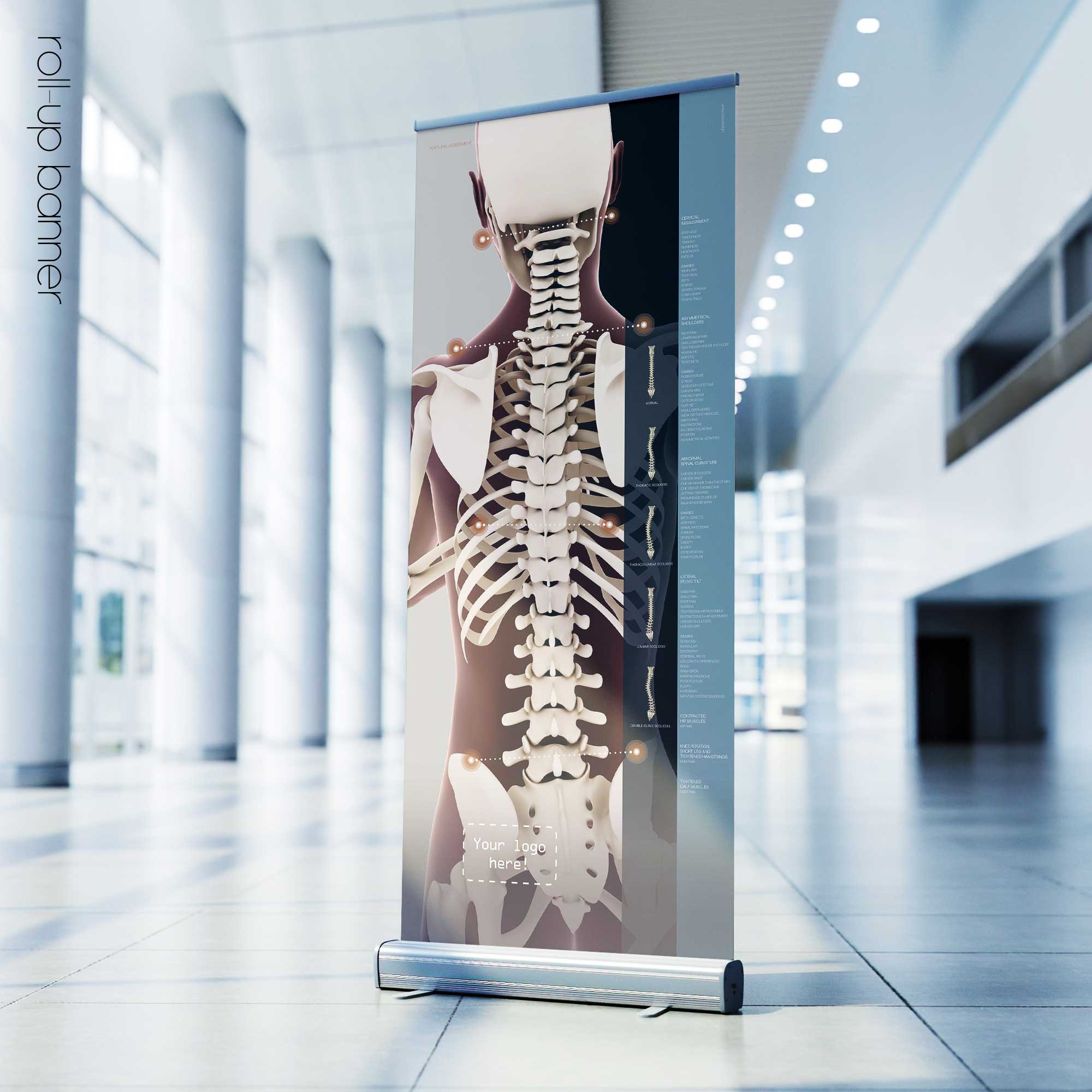 Postural Assessment and Scoliosis. Anatomy and physiology artwork from educare.design