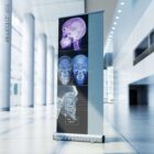 Disturbo dell'ATM. Opere d'arte di anatomia e fisiologia da educare.design