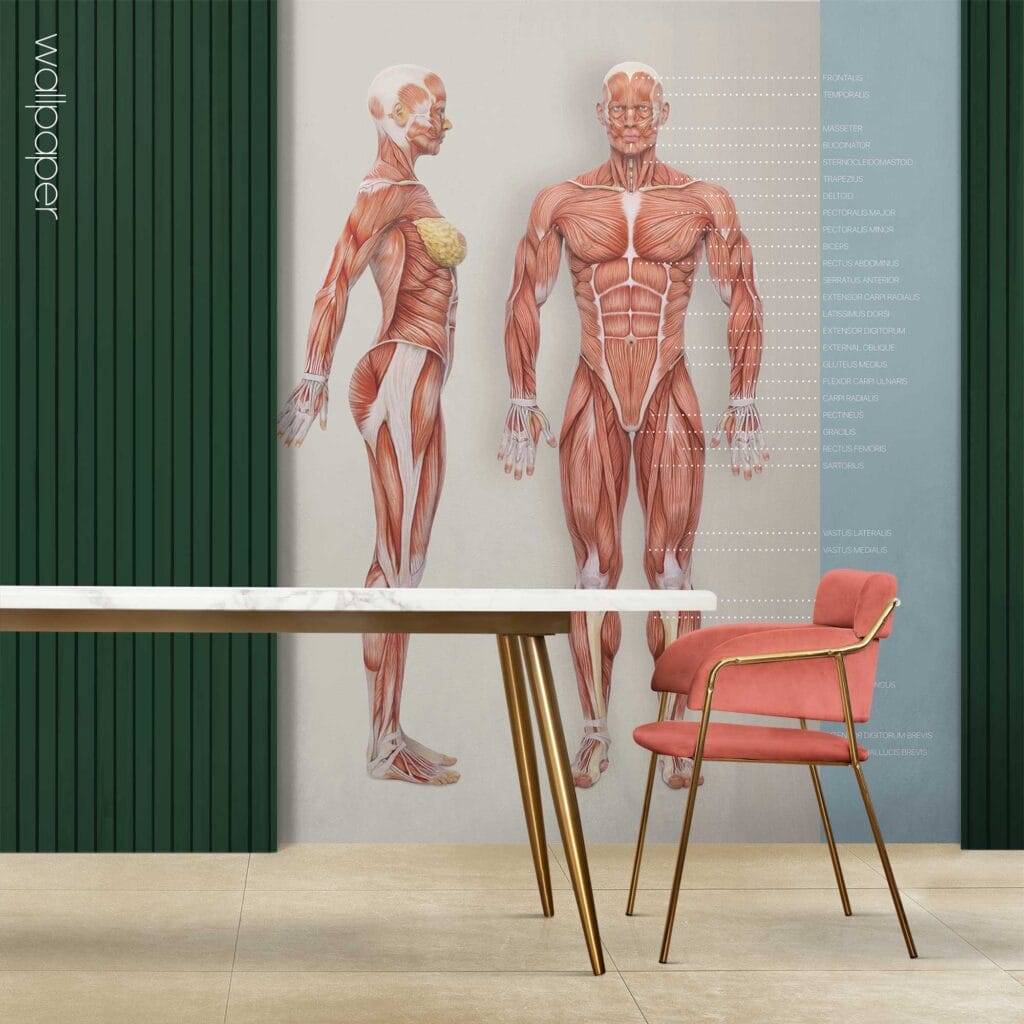 Custom made wallpaper for healthcare clinics.