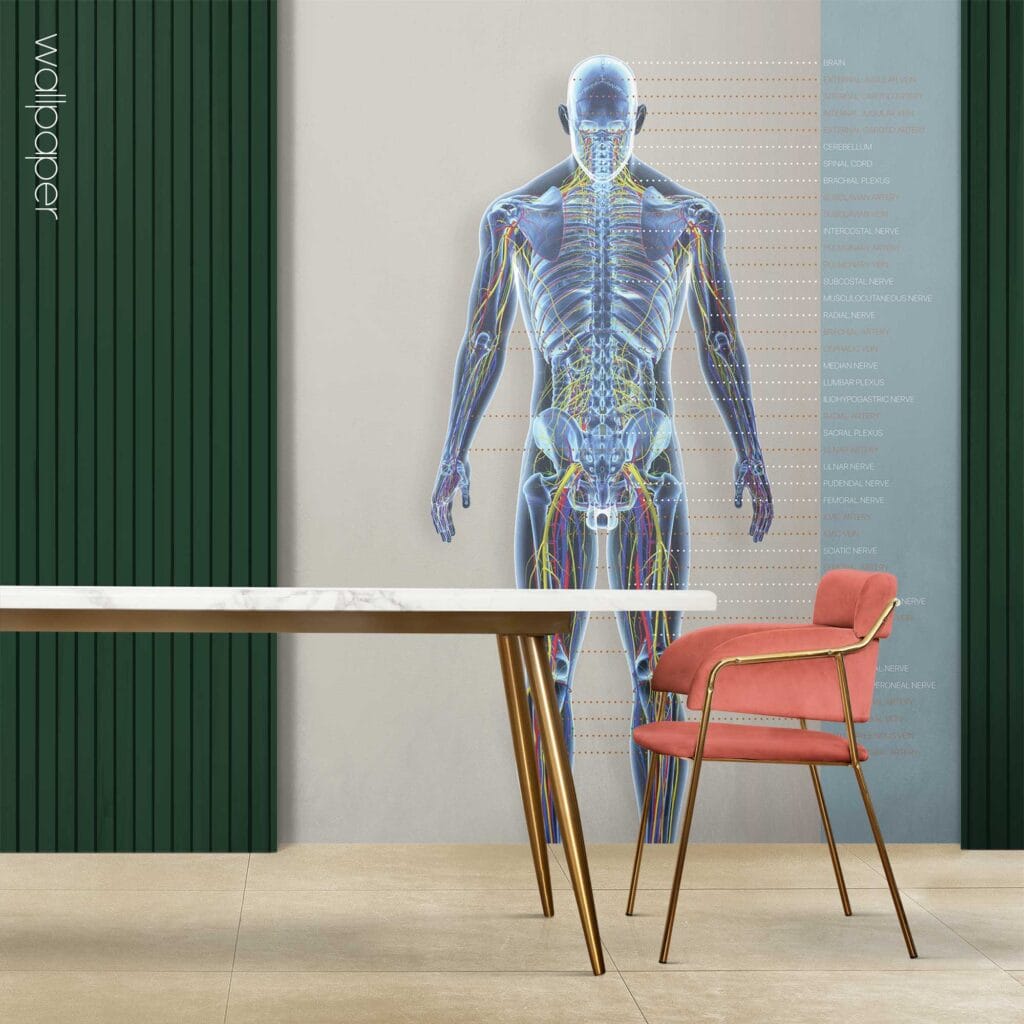 Custom made wallpaper for healthcare clinics.