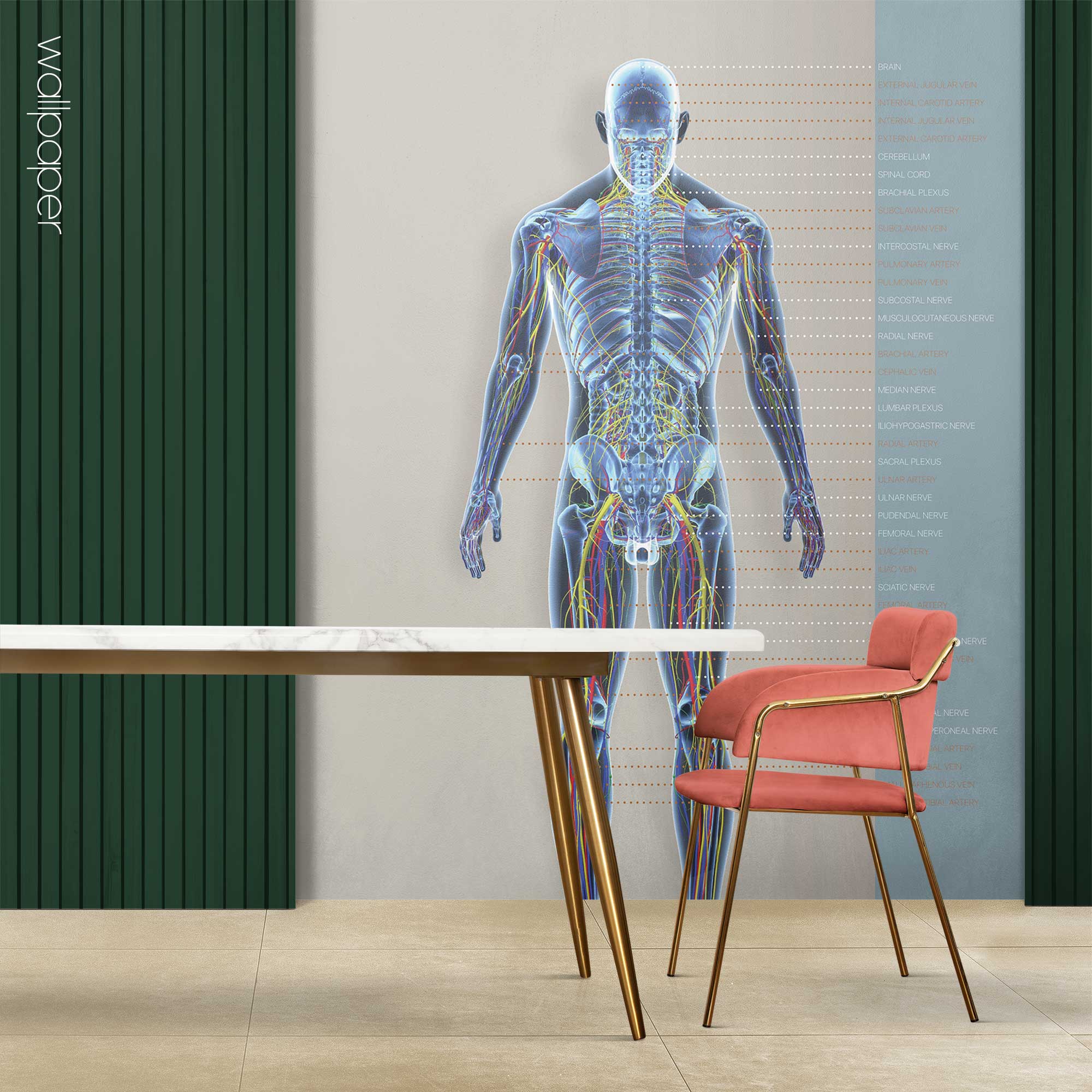 Custom made wallpaper for healthcare clinics.