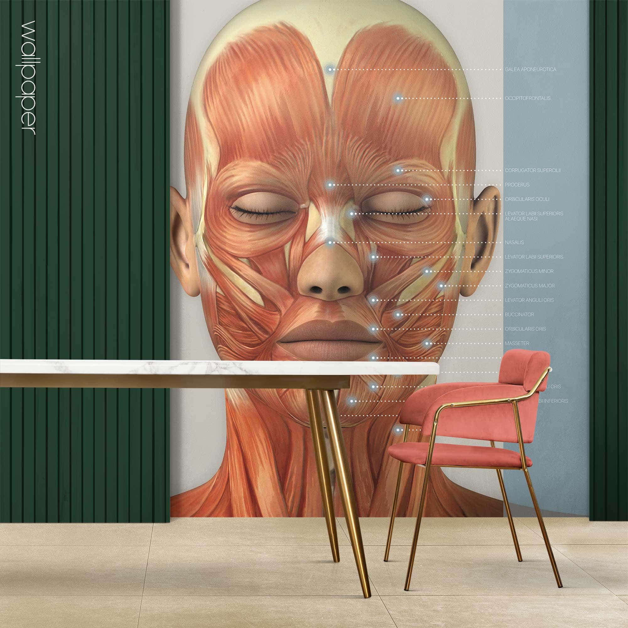 Papier peint sur mesure pour les cliniques de soins de santé.