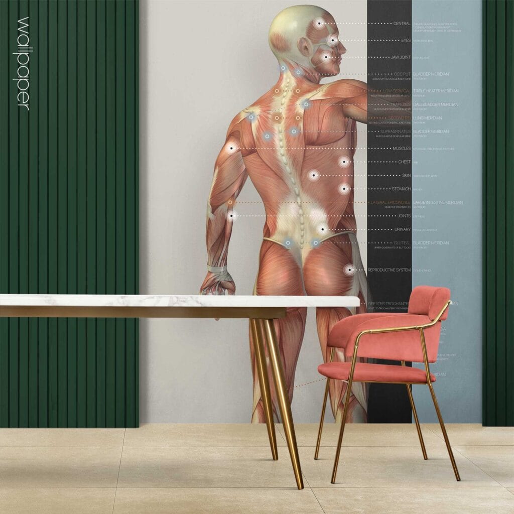 Custom made wallpaper for healthcare clinics.