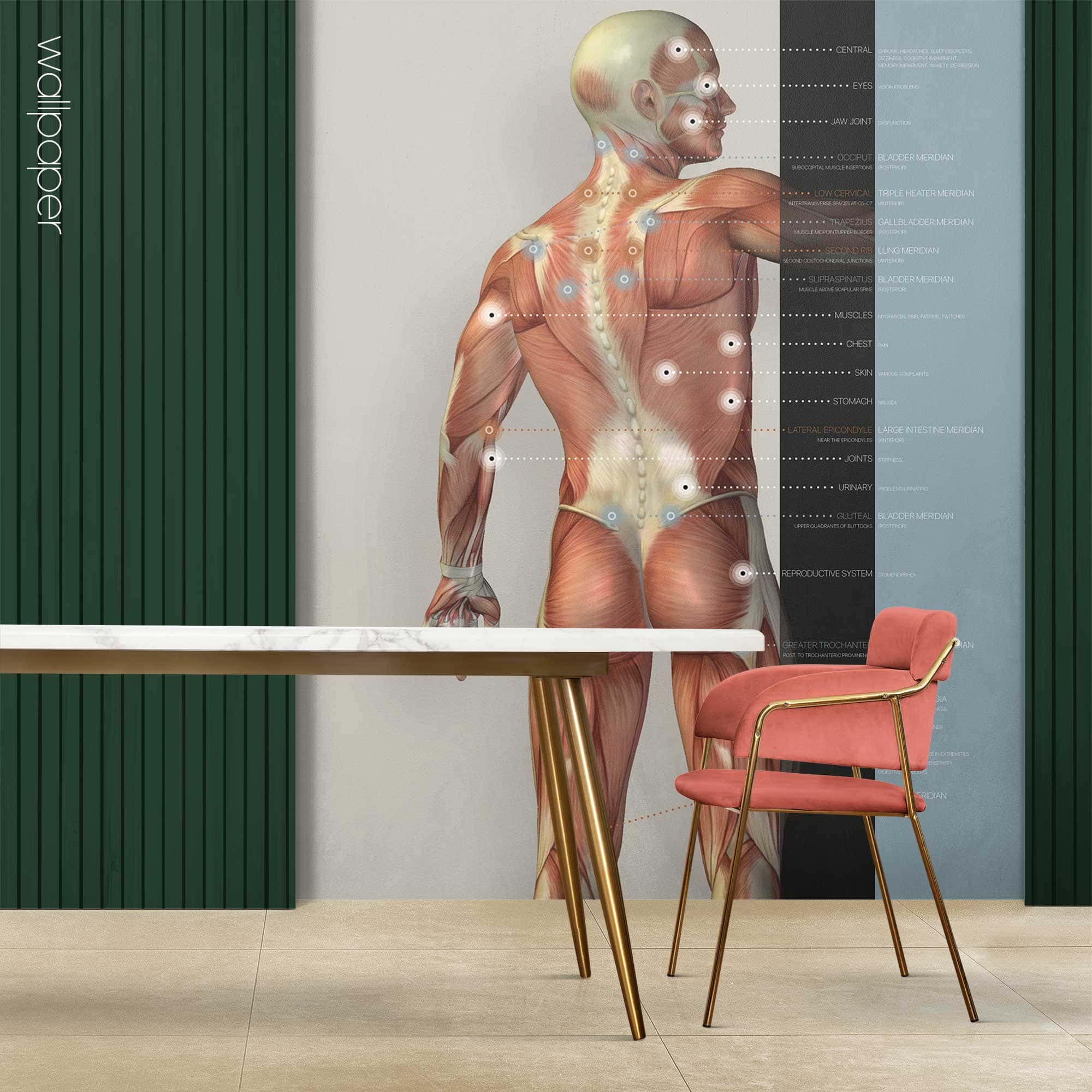 Custom made wallpaper for healthcare clinics.