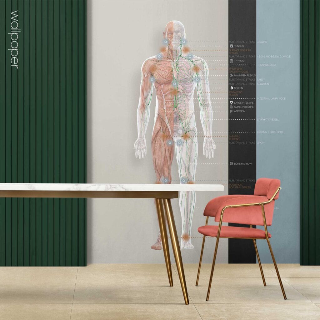 Custom made wallpaper for healthcare clinics.