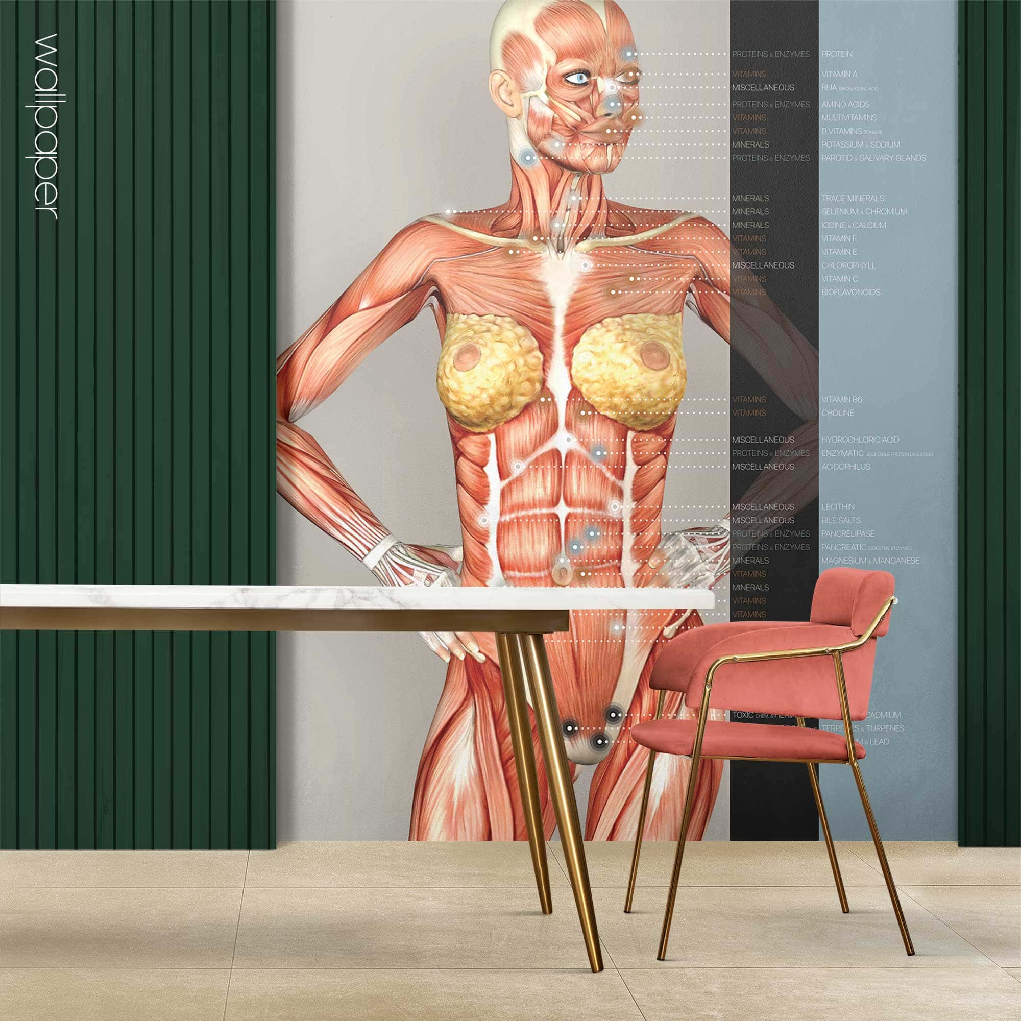 Papier peint sur mesure pour les cliniques de soins de santé.