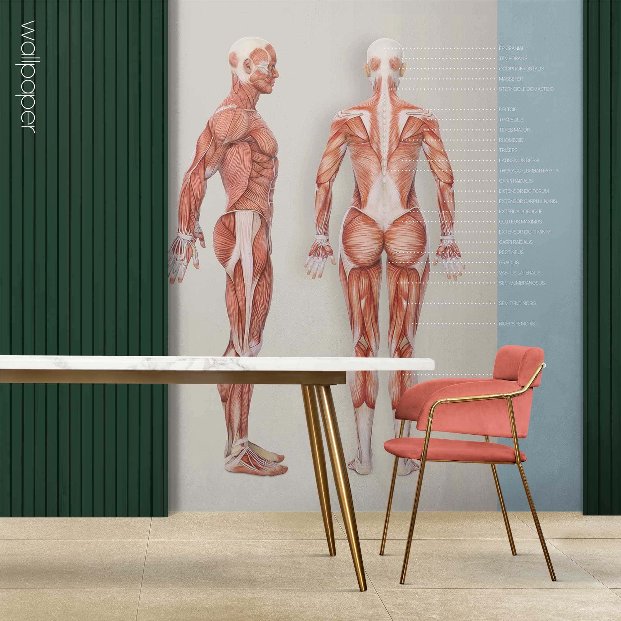 Custom made wallpaper for healthcare clinics.