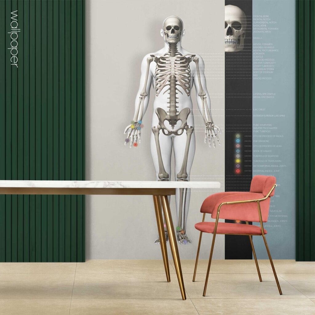 Custom made wallpaper for healthcare clinics.