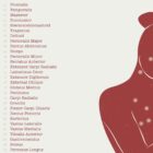 Abstract anatomy art