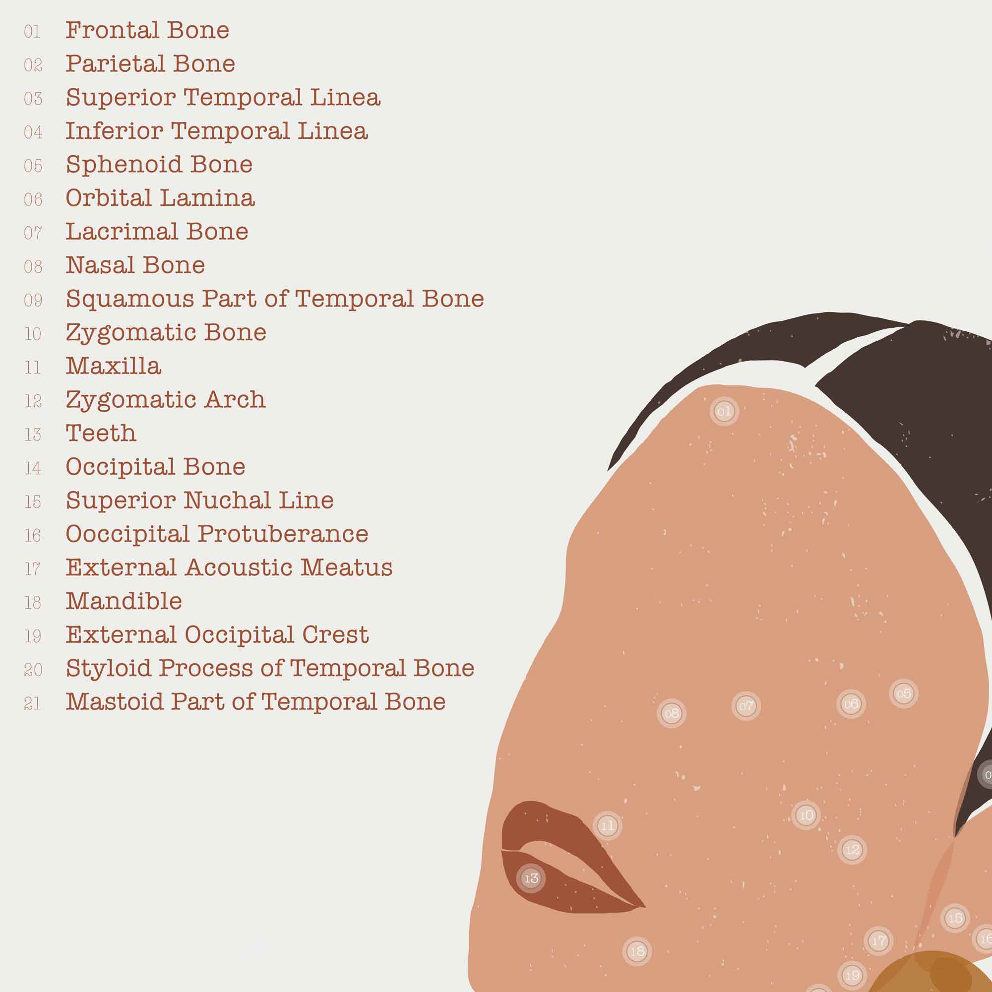 Abstract anatomy art