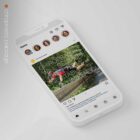 SocialSquares Package for chiropractic clinics. Designed by educare.design