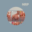 NRP: Neurolymphatic Reflex Points anatomy chart for clinics