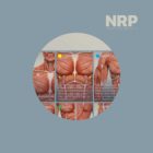NRP: Neurolymphatic Reflex Points anatomy chart for clinics