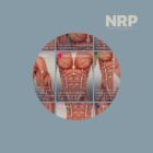 NRP: Neurolymphatic Reflex Points anatomy chart for clinics