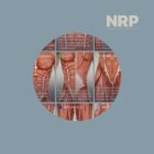 NRP: Neurolymphatic Reflex Points anatomy chart for clinics