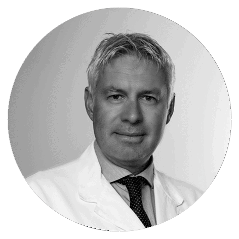 Stockelynck – Premium Anatomy Chart by educare.design