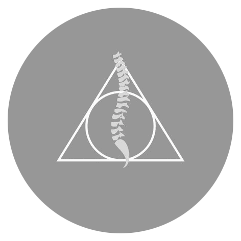 avantgarde – Premium Anatomy Chart by educare.design