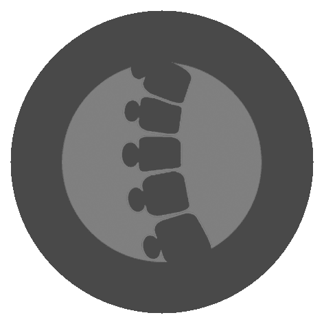 chirostudio – Premium Anatomy Chart by educare.design