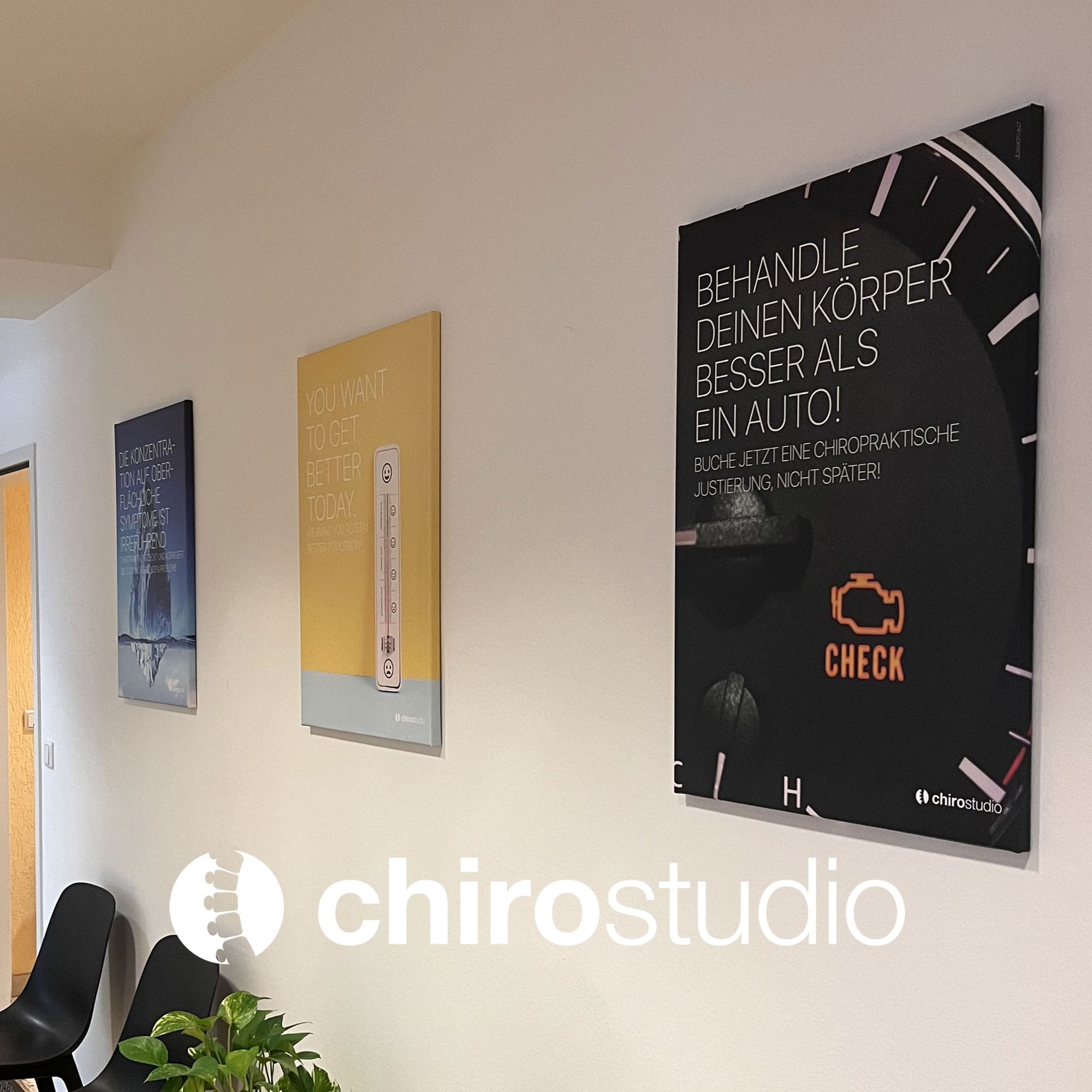 chirostudio 01 – Premium Anatomy Chart by educare.design