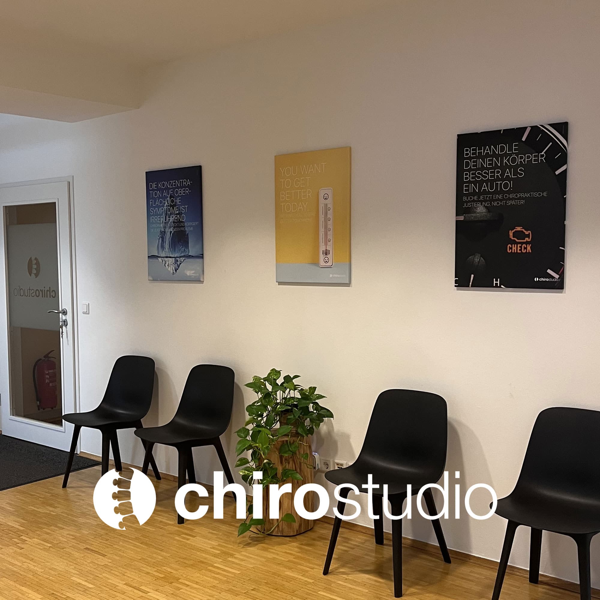 chirostudio 03 – Premium Anatomy Chart by educare.design