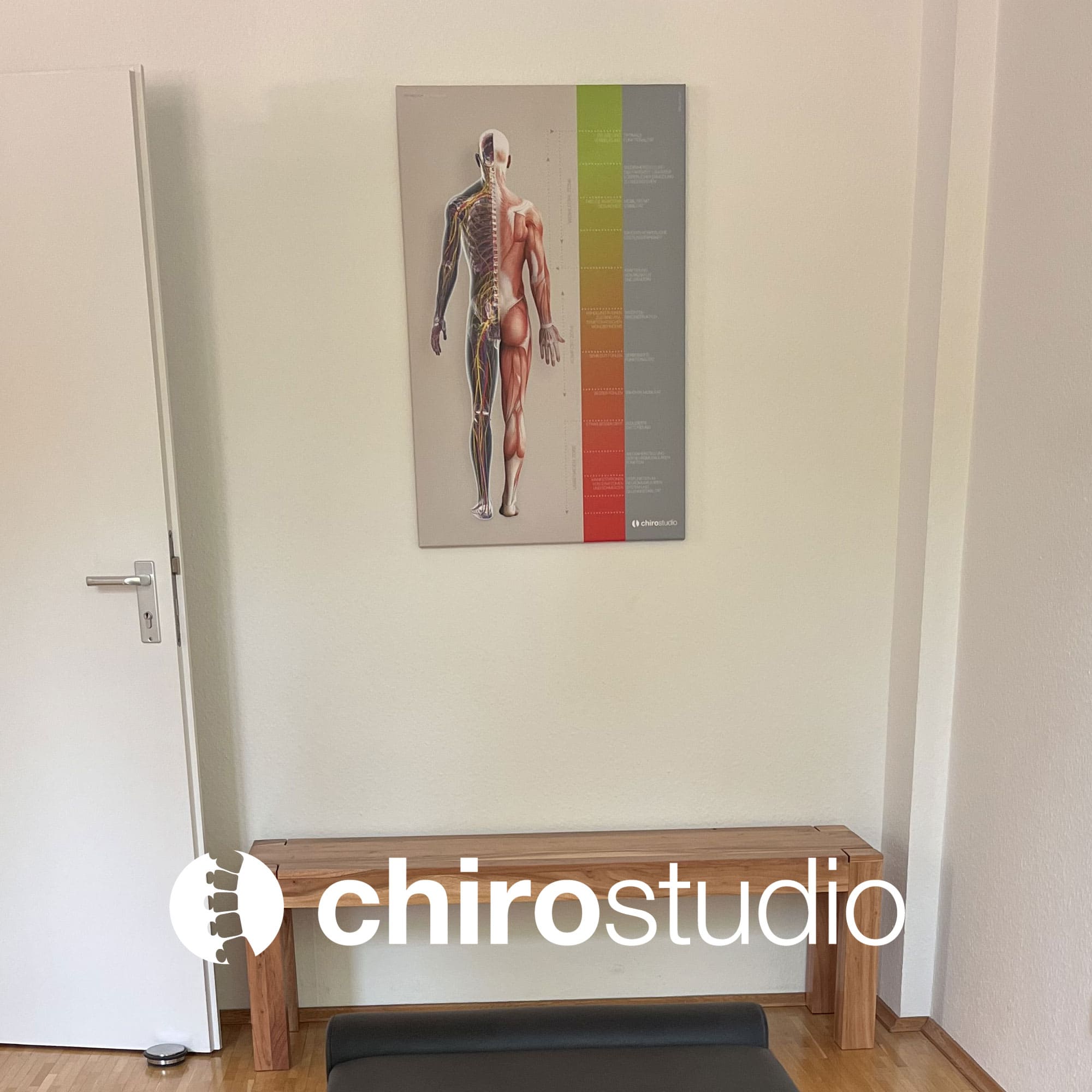 chirostudio 04 – Premium Anatomy Chart by educare.design