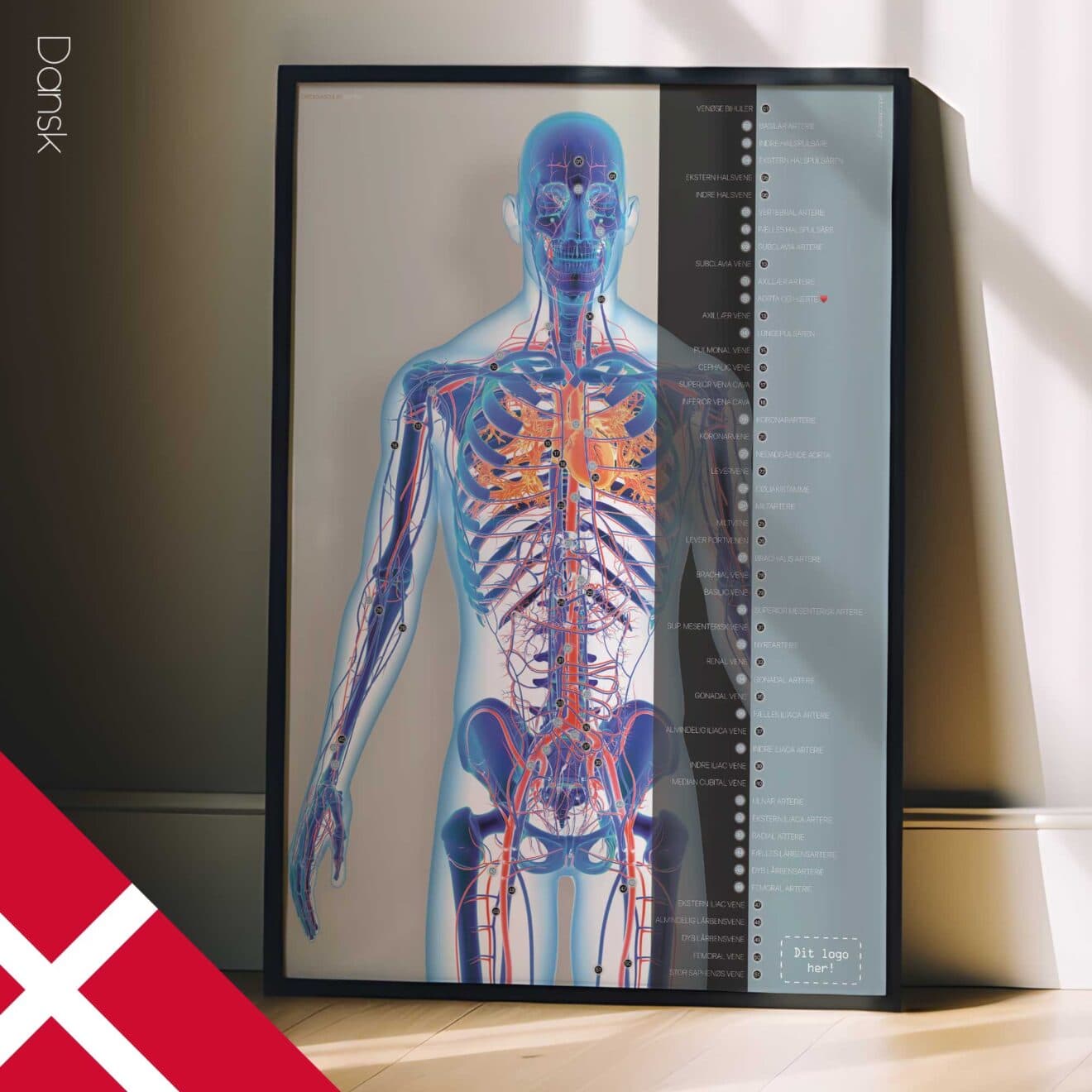 Herz-Kreislauf-System Kunstwerk von educare.design