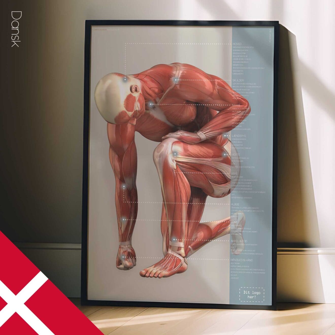 Injuries and Ailments. Anatomy and physiology artwork from educare.design