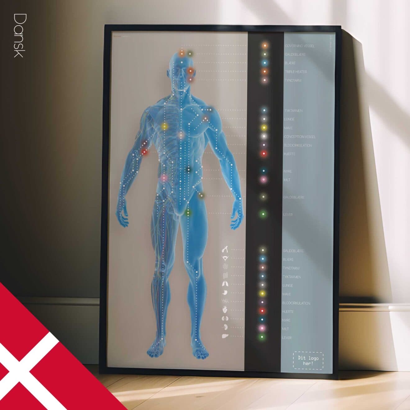 Canaux méridiens. Dessin d'anatomie et de physiologie d'educare.design