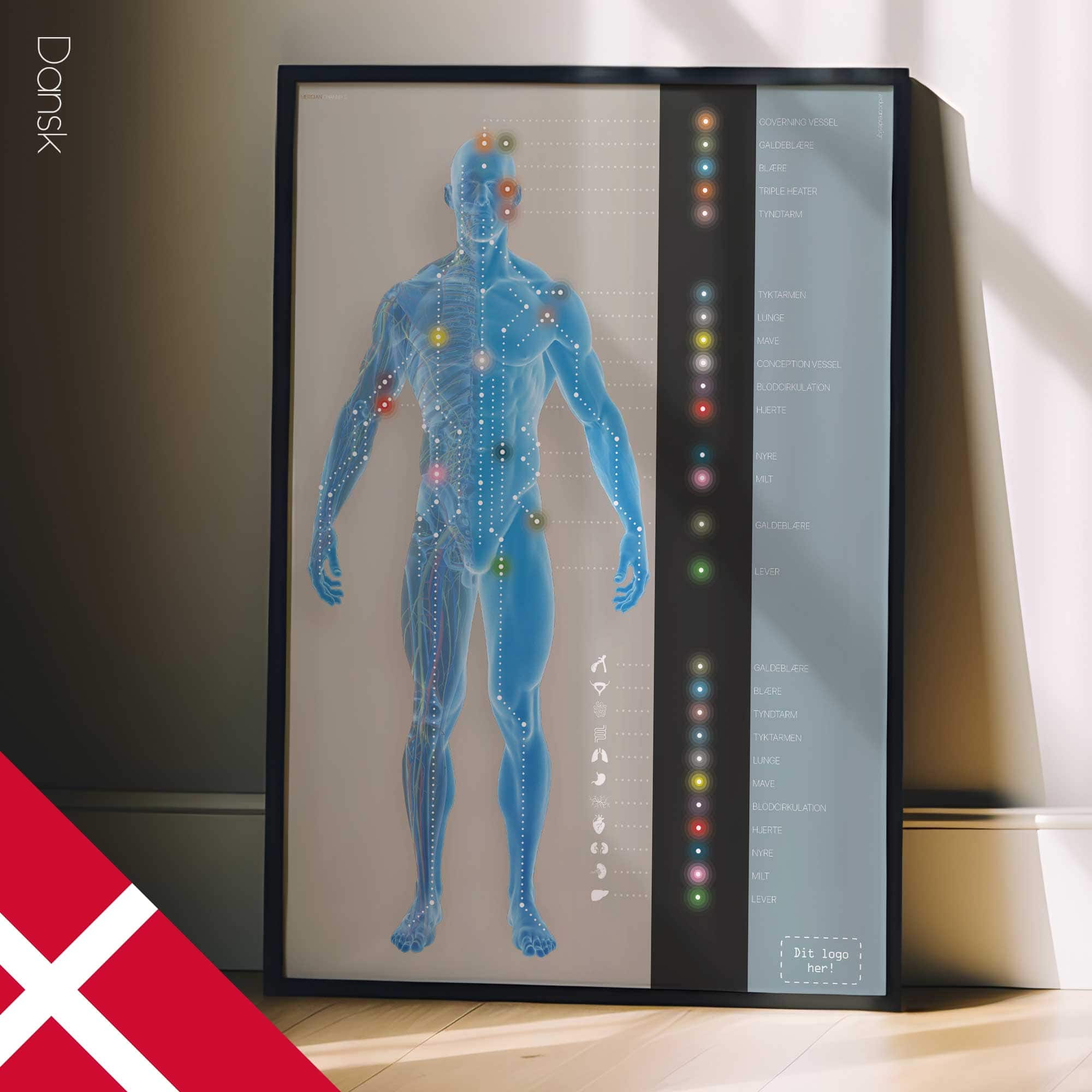 Canali meridiani. Opere d'arte di anatomia e fisiologia da educare.design