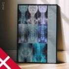 Fehlausrichtung, Anatomie und Physiologie - Kunstwerke von educare.design