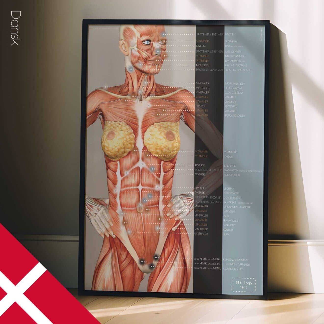 Nutritional Energy Reflex Points. Anatomy and physiology artwork from educare.design