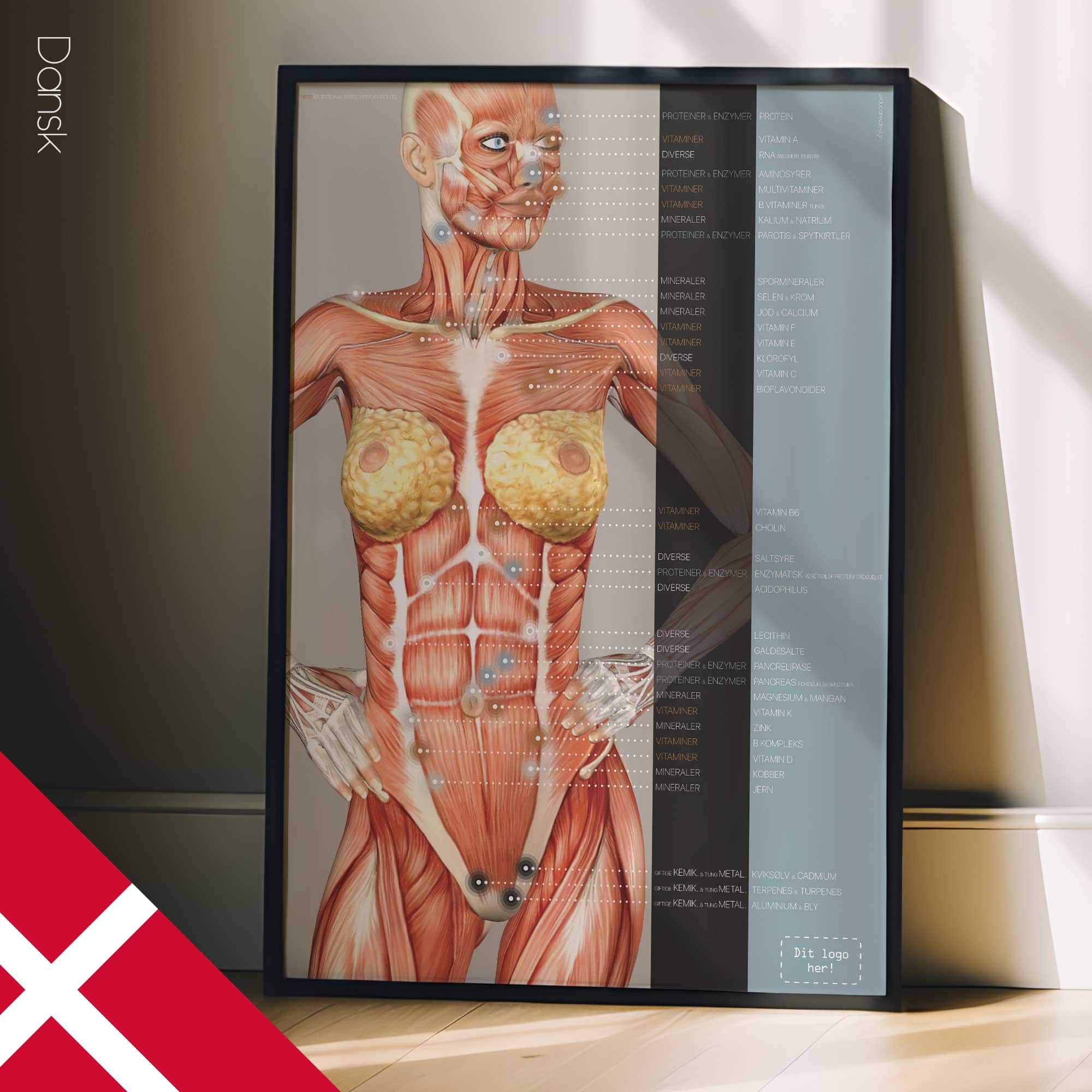 Points réflexes de l'énergie nutritionnelle. Dessin d'anatomie et de physiologie d'educare.design