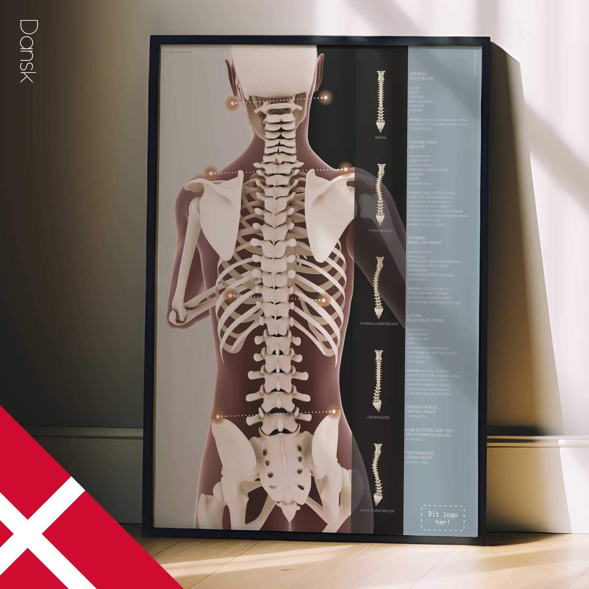 Postural Assessment and Scoliosis. Anatomy and physiology artwork from educare.design