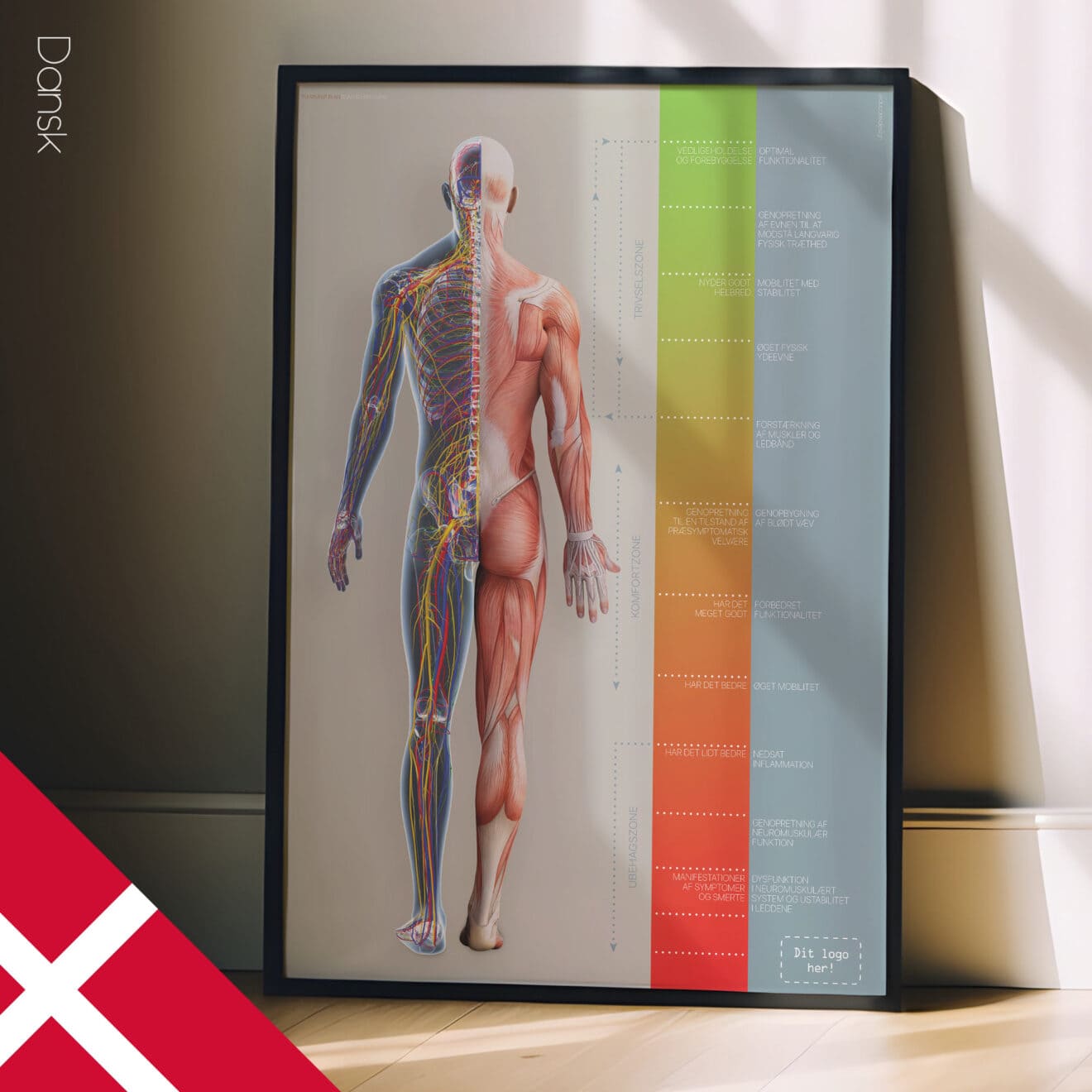 Chiropractic Treatment Plan (Road-to-Recovery)