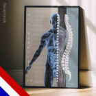 Autonomic Nervous System – educare.design Autonoom Zenuwstelsel