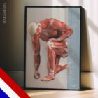 Injuries and Ailments (chronic and acute) – educare.design Verwondingen en Kwalen