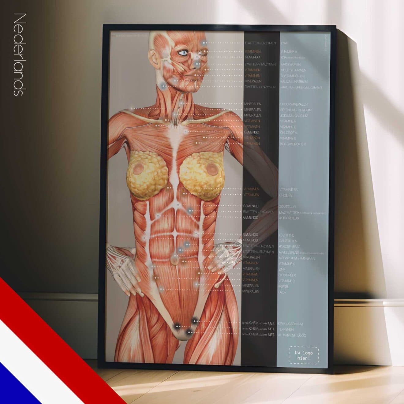 Voedingsenergie Reflexpunten