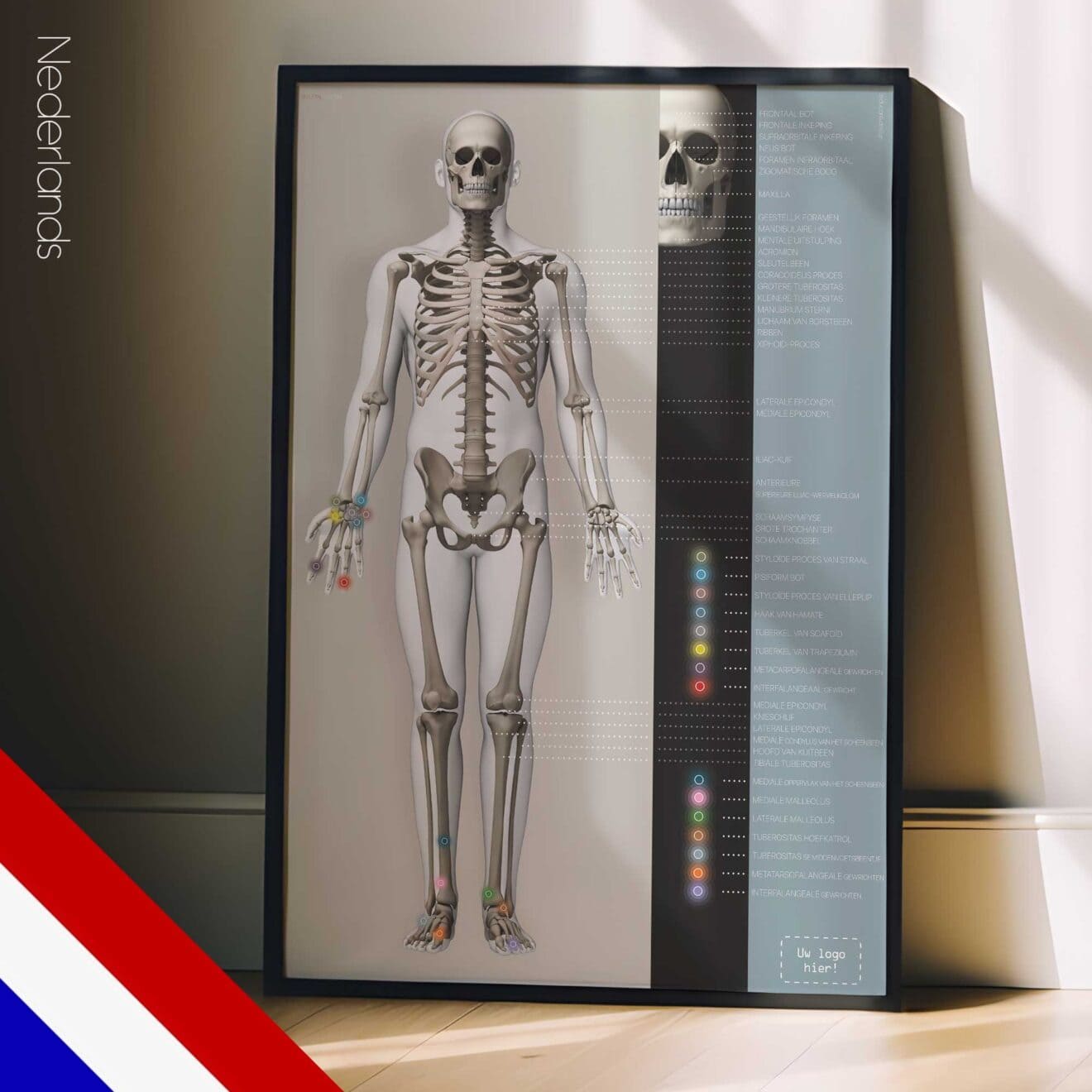 Skeletsysteem
