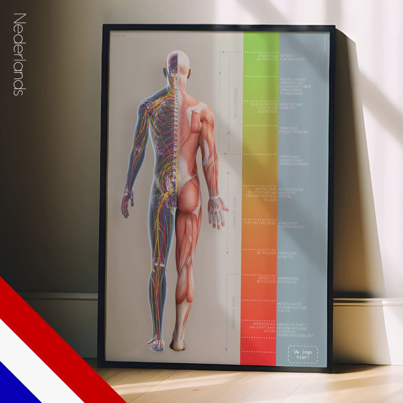 Chiropractic Treatment Plan (Road-to-Recovery)