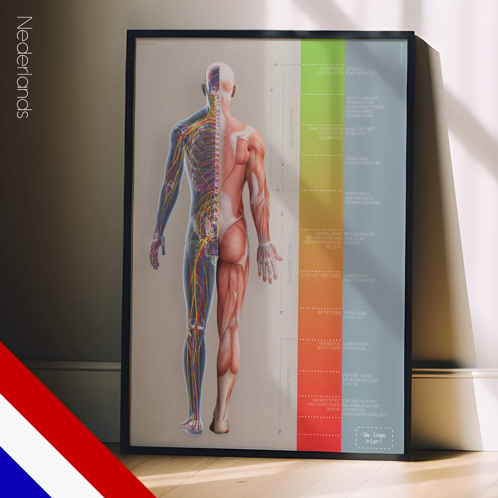 Chiropractic Treatment Plan (Road-to-Recovery)