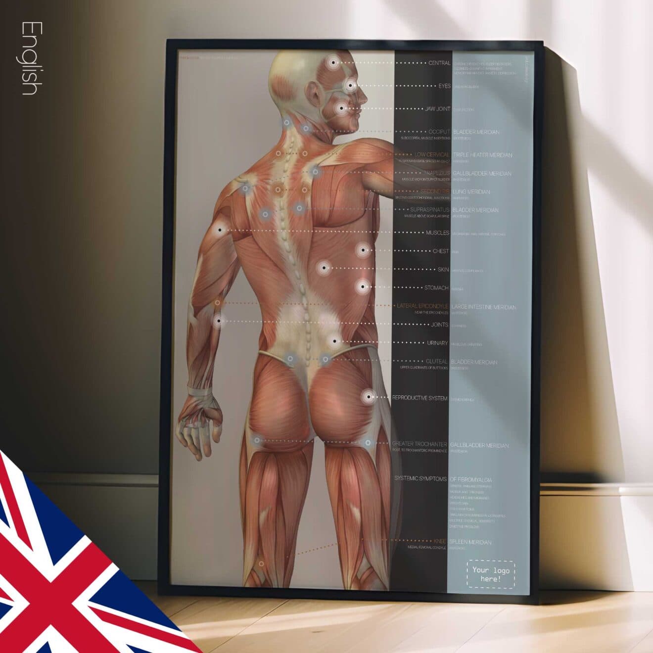 Fibromialgia; Punti dolenti e sintomi. Opere d'arte di anatomia e fisiologia da educare.design