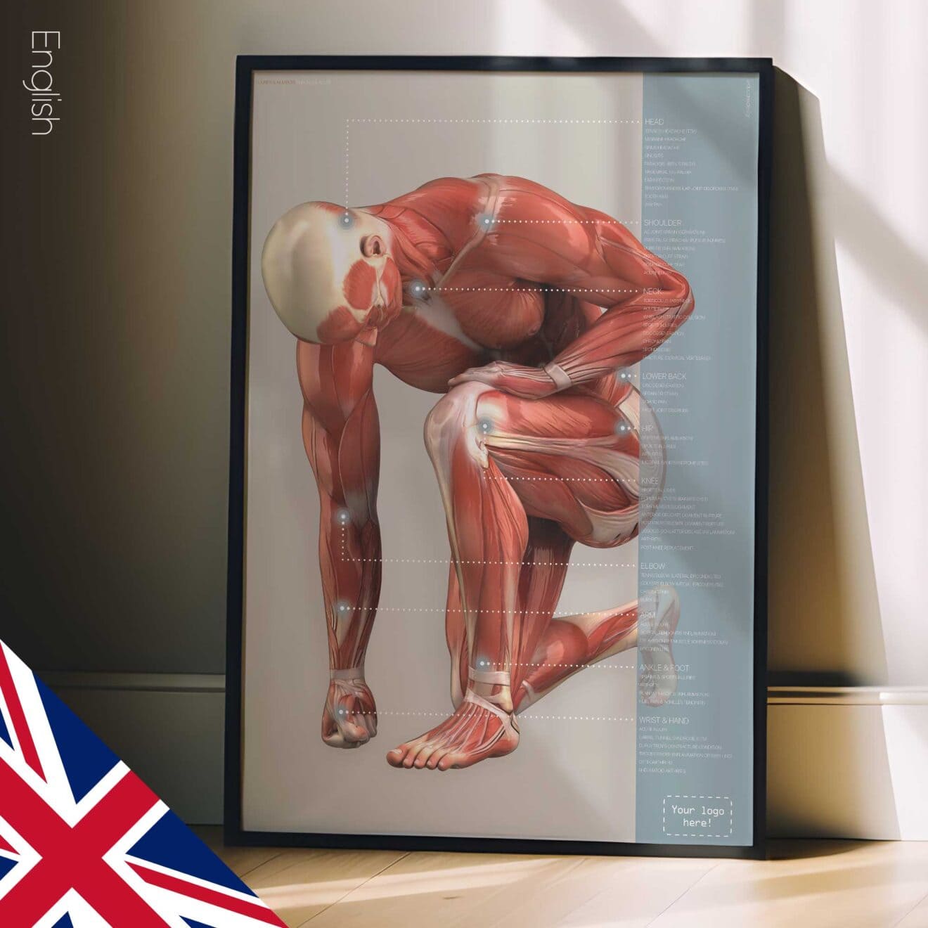 Injuries and Ailments. Anatomy and physiology artwork from educare.design
