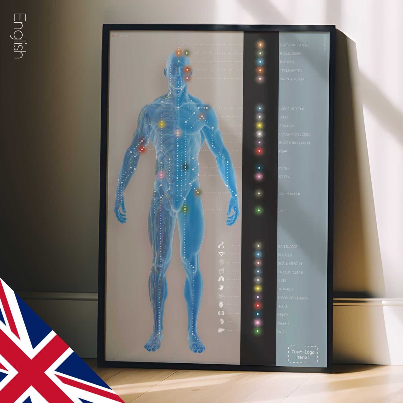 Canaux méridiens. Dessin d'anatomie et de physiologie d'educare.design