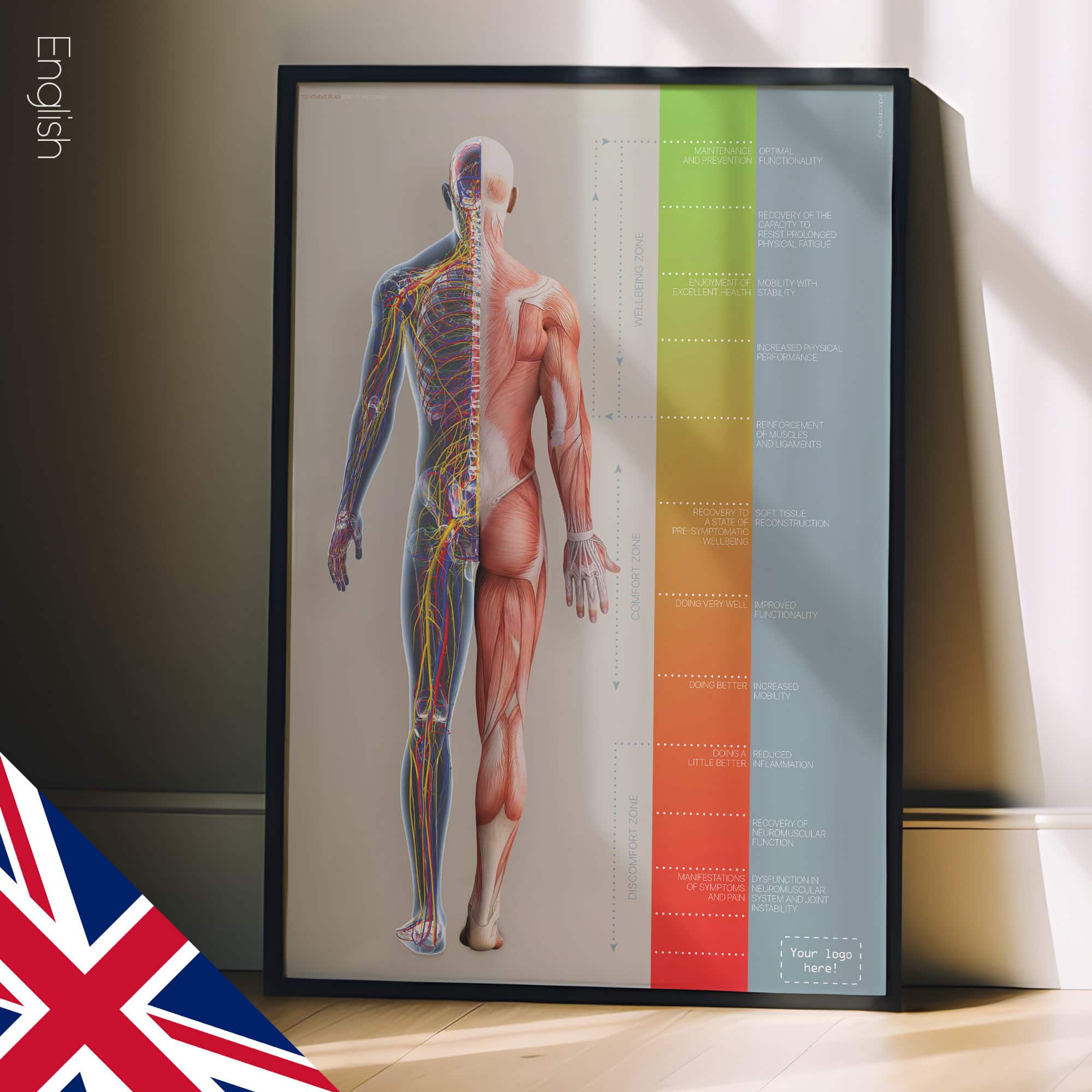 Chiropractic Treatment Plan (Road-to-Recovery)