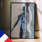 Autonomic Nervous System – educare.design Autonomic Nervous System