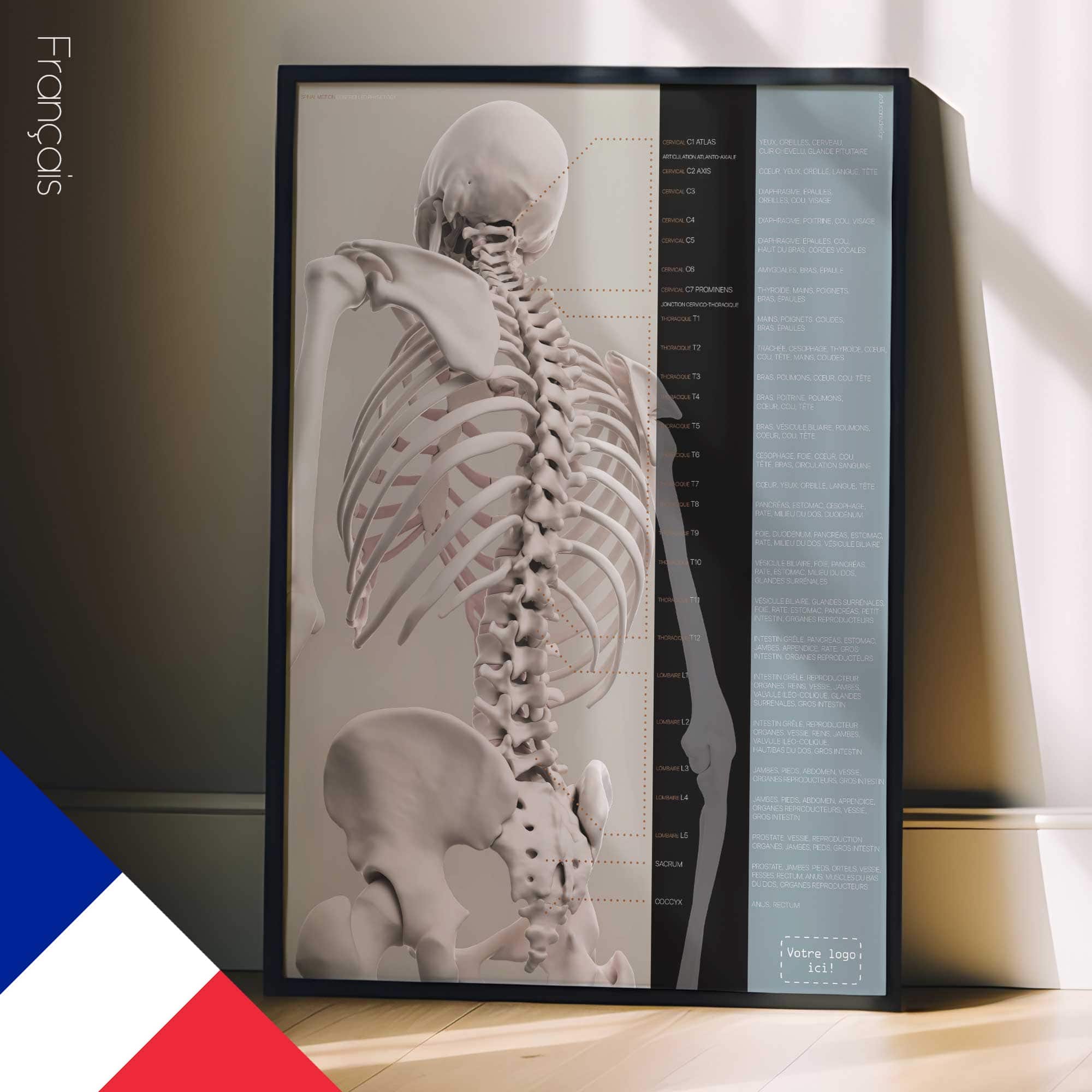 Spinal Motion and controlled physiology. Educational healthcare design from educare.design